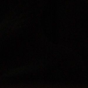 Meet your Posher, Bobby